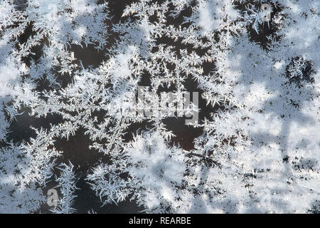 21 janvier 2019, Bade-Wurtemberg, Stuttgart : gel à la fenêtre d'une station de métro. Photo : Sebastian Gollnow/dpa Banque D'Images
