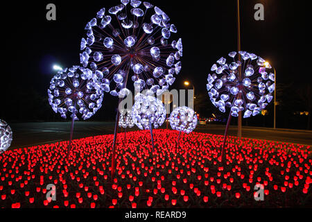 Rongcheng, Rongcheng, Chine. 21 Jan, 2019. Weihai, CHINE-Des milliers de lampes en forme de tulipe peut être vu dans l'ChinaÃ Rongcheng¢â€ La province de Shandong. Crédit : SIPA Asie/ZUMA/Alamy Fil Live News Banque D'Images