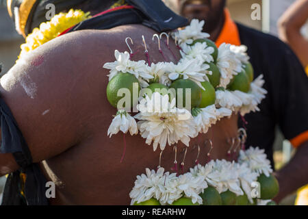 Kuala Lumpur, Malaisie 20 Janvier 2019 - dévot hindou en hommage au Seigneur Muruga pendant Thaipusam Festival à Batu Caves. Thaipusam est une cérémonie hindoue qui se tient chaque année pendant la pleine lune, le dixième mois du calendrier hindou. Pendant Thaipusam festival en Asie du sud-est, des passionnés d'Hindu préparation cérémonie de bénédiction de la prière en perforant les crochets corps 'kavadi ou des pots de lait sur un quatre kilomètres à pied vers les grottes de Batu temple, pour s'acquitter de leurs vœux et offrir grâce à des divinités. Credit : Gahsoon/Alamy Live News Banque D'Images