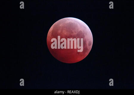 L'Allemagne. 21 janvier 2019. éclipse lunaire totale, lune de sang, l'Allemagne, 21.01.2019 Crédit : Michael Liebrecht/Alamy Live News Banque D'Images