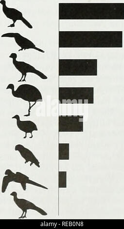 . L'Atlas de conservation des forêts tropicales : les Amériques. AlpuaiUi spp. Les singes hurleurs Aretes spp. Le singe araignée Tamandua spp. Moindre fourmiliers Bradypus Iridactyla tcrrestiis Tapinis sloth à crinière tapir brésilien Figure 5.1 L'importance des mammifères à l'indien contemporain et colonist chasseurs. Seules les espèces qui ont été trouvés dans au moins cinq études indiennes et trois études de colons sont inclus. Bars désignant le nombre d'individus de ce taxon tués par chasseur et par an. Pour donner une idée d'échelle, il y avait environ 2,5 personne apella Cebus tués chaque année par chaque chasseur indien Banque D'Images