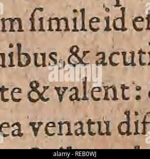 . Conradi Gesneri medici Tigurini Historiae animalium liber primus de quadrupedibus viuiparis : opus philosophis, medicis, grammaticis, philologis, poe ?tis, &AMP ; linguarumq ?ue omnibus rerum variarum studiosis, vtilissimum iucundissimumq simul ?ue futurum. Pre-Linnean ; Zoologie. . Veuillez noter que ces images sont extraites de la page numérisée des images qui peuvent avoir été retouchées numériquement pour plus de lisibilité - coloration et l'aspect de ces illustrations ne peut pas parfaitement ressembler à l'œuvre originale.. Gessner, Conrad, 1516-1565 ; Schmarda, Ludwig Karl Ludwig (K.), 1819-1908, l'ancien propriétaire. DSI ; Banque D'Images