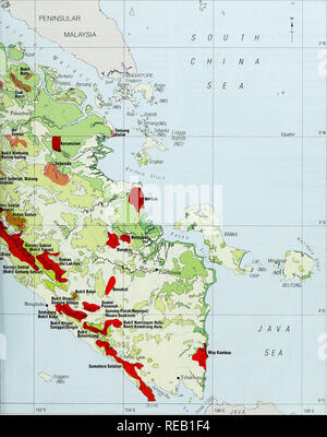 . L'Atlas de conservation des forêts tropicales : l'Asie et le Pacifique. L'Indonésie. 145. Veuillez noter que ces images sont extraites de la page numérisée des images qui peuvent avoir été retouchées numériquement pour plus de lisibilité - coloration et l'aspect de ces illustrations ne peut pas parfaitement ressembler à l'œuvre originale.. Collins, N. M. , Sayer, J. A. , Whitmore, T. C.. L'UICN Banque D'Images