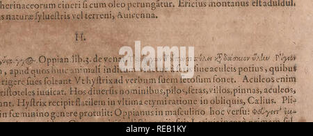 . Conradi Gesneri medici Tigurini Historiae animalium liber primus de quadrupedibus viuiparis : opus philosophis, medicis, grammaticis, philologis, poe ?tis, &AMP ; linguarumq ?ue omnibus rerum variarum studiosis, vtilissimum iucundissimumq simul ?ue futurum. Pre-Linnean ; Zoologie. ICH RMVM..O.]^veterimanti Aijaimago EST.ex/cripto d&gt;pianipoematHmcadice. 4^. Veuillez noter que ces images sont extraites de la page numérisée des images qui peuvent avoir été retouchées numériquement pour plus de lisibilité - coloration et l'aspect de ces illustrations ne peut pas parfaitement ressembler à l'œuvre originale.. Gessner, Conrad Banque D'Images
