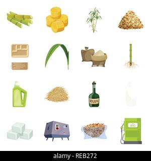 Stick,piece,bush,carton,sac,feuilles,root,ménage,rhum,bagasse,cube,jus centrifugeuse,essence,,palm,,granulé,conteneurs,vert,sable,chimiques,bouteille,alimentaire,machine,buse,Culture,brun,la canne à sucre de canne,terrain,plantes,DE,plantation,ferme,agriculture,saccharose,technology,set,icône,,illustration,collection,isolé,design,graphisme,élément signe,caricature,couleur,vecteurs vecteur , Illustration de Vecteur