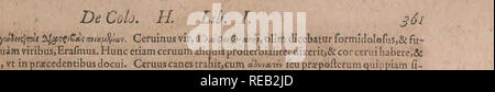 . Conradi Gesneri medici Tigurini Historiae animalium liber primus de quadrupedibus viuiparis : opus philosophis, medicis, grammaticis, philologis, poe ?tis, &AMP ; linguarumq ?ue omnibus rerum variarum studiosis, vtilissimum iucundissimumq simul ?ue futurum. Pre-Linnean tuoriibcrantur ; Zoologie. herbaquadani,niij gufl quarafi inproxiraoforte:,ata, nafcentcmrependocontigerint iUico (ibi. Veuillez noter que ces images sont extraites de la page numérisée des images qui peuvent avoir été retouchées numériquement pour plus de lisibilité - coloration et l'aspect de ces illustrations ne peut pas parfaitement ressembler à l'orig Banque D'Images