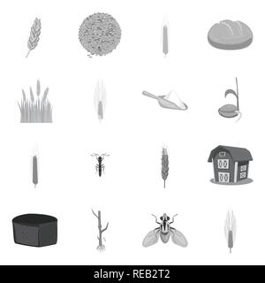 L'orge de printemps, pain, farine, graines,voler,grenier,etuve,spike,graines,hiver,repas,insectes,s,root,bâtiment,dur,Culture,industrie,ravageur scoop,brun,alimentation,terrain,commande,sols,automne,blé,maïs,,grain,récolte,ferme,terrain,agriculture,agriculture,seigle,set,plantes,vector icon,illustration,collection,isolé,design,graphisme,élément signe,gris,noir,vecteurs vecteur , Illustration de Vecteur