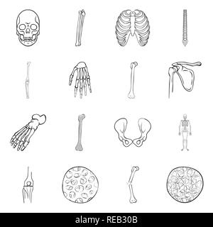 Crâne,fémur,nervure, genou,dos,poignet,foot,,hanche,appareil locomoteur Fracture,fibres,ostéoporose,la mort,la chiropratique,cage,joints,occasion,casse,bassin,cheville osseuse,scientifique,sain,,la douleur,cell,monster,jambe,xray,os,base,,squelette humain,anatomie organes,,medical,medicin,biologie,clinique,set,icône,,illustration,collection,isolé,design,graphisme,élément signe,ligne,plan,vecteurs vecteur , Illustration de Vecteur
