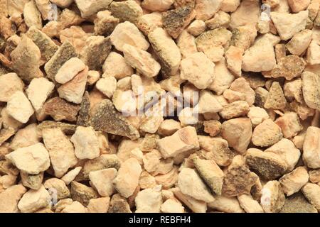 Pelures séchées du Curacao-Orange currassuviensis (Citrus aurantium), utilisée pour l'assaisonnement, l'alcool ou qu'un plateau de fruits Banque D'Images