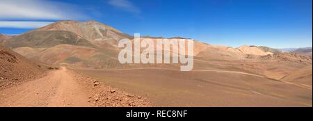 Reserva Provincial Las Vicuñas et Laguna Brava, hautes Andes, province de La Rioja, Argentine Banque D'Images