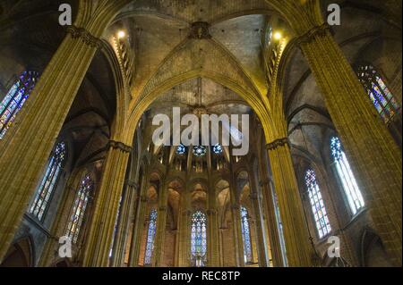 Cathédrale Santa Eulalia ou de la Seu, plafond gothique, du quartier gothique, Barcelone, Catalogne, Espagne Banque D'Images