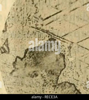 . Tous comptes rendus des séances de l'Académie des sciences. Sciences -- Sociétés, etc ; Sciences ; Sciences. . Veuillez noter que ces images sont extraites de la page numérisée des images qui peuvent avoir été retouchées numériquement pour plus de lisibilité - coloration et l'aspect de ces illustrations ne peut pas parfaitement ressembler à l'œuvre originale.. Académie des sciences (France) ; Centre national de la recherche scientifique (France). Paris : publiés avec le concours du Centre national de la recherche scientifique par MM. les secrétaires perpétuels : l'indépendance Banque D'Images