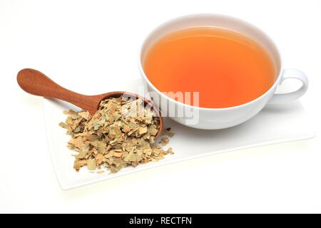 Tisane faite de feuilles séchées de l'orange amère, utilisée de la médecine de fines herbes et le parfum (Citrus aurantium) Banque D'Images