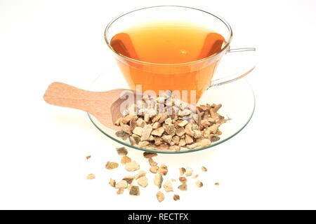 Tisane, faites de peaux séchées de l'Curacao-Orange currassuviensis (Citrus aurantium), utilisée pour l'assaisonnement Banque D'Images