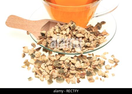 Tisane, faites de peaux séchées de l'Curacao-Orange currassuviensis (Citrus aurantium), utilisée pour l'assaisonnement Banque D'Images