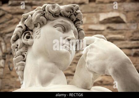 Détail de la statue de David de Michel-Ange, Florence, Toscane, Italie, Europe Banque D'Images