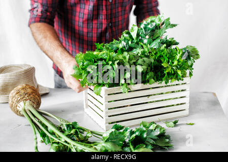 Concept de récolte. Agriculteur avec des herbes dans la boîte en bois sur tableau blanc Banque D'Images