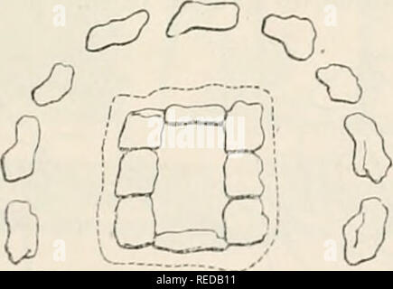 . Compte rendu. La science ; la science -- Congrès. »^OziC^3&Lt ; fig. iM. - V1C0. Mur Ce jjeiit contenir des chambres sépulcrales. Les dalles de recouvrement de l'allée, aujuombre probable de trois, sont effondrées. Un cercle de 10 mètres de diamètre,^com- posé de gros blocs, entoure le monument (fig. 117).. Fig. -118. - 1/200. 2° Un analogique monument entouré d'un cercle de 12 mètres. Le mauvais état de con- servation ne permet pas d'afîirmer la forme exacte. Il y a possibilité de l'existence de trois petits dolmens alignés, mais on probabilité d'une allée comme ci-dessus. .3" un dol Banque D'Images