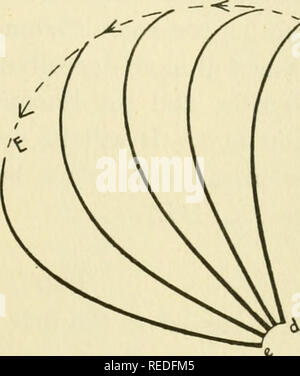 . La science complète de la pêche à la mouche et la filature. Fly-casting. [From old catalog]. Schéma électrique 20. L'arrière et vers le haut Schéma de rotation 21. L'interrupteur vers l'avant et vers le bas de la tige. La SPEY. Jeter en avant dans la direction dans laquelle il souhaite que son avion à l'automne (voir schéma 21), en prenant soin de l'action à la baisse que sa verge n'entre pas en collision avec la ligne qu'il passe de l'eau. S'il faut pêcher avec une longueur importante de la ligne, au lieu de balancer sa baguette avec un mouvement régulier, en amont de l'interrupteur suffisante devrait être accordée à cette action de lever la ligne et voler de l'eau Banque D'Images