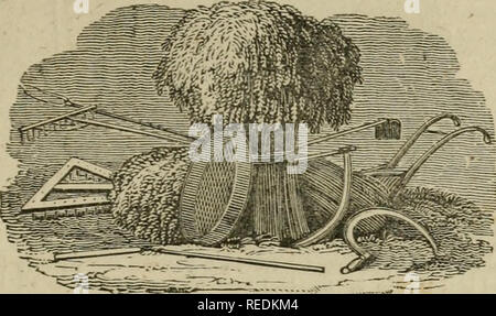 . L'agriculteur et l'économiste rural : contenant une formulation concise exemple même des branches les plus importantes de l'économie agricole et rurale. L'agriculture. Des outils agricoles. Il a été remarqué par Sir John Sinclair, que l'introduction de nouveaux outils agricoles dans un district est souvent une question de la plus grande difficulté, en raison de la l'ignorance, les préjugés, et obstinac}' de fonctionnaires et d'ouvriers agricoles. De nombreux agriculteurs, donc, très vieux conservent leur absurde met en oeuvre, bien que convaincus de leur infériorité, plutôt que l'aigre tempère de leurs ouvriers en tentant de créer des Banque D'Images