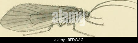 . La science complète de la pêche à la mouche et la filature. Fly-casting. [From old catalog]. • ; Fig. 2.-Caddis Fly. La larve en sac. La taille naturelle. Fig. i.-l'Tricoptera Phryganea (Carex- Fly), trois fois la taille naturelle. Cette larve tisse un tube cylindrique, et à l'échéance ferme la fin et entre dans son existence nymphale.. Fig. 4.-La forme de vol. Amplifiées V Fig. 3.-La Chrysalide, trois fois grandeur nature, prêt à déchirer son enveloppe nymphale et d'entrer son imago ou mis en battant l'existence. L'Tricoptera, ou Caddis Fly. Veuillez noter que ces images sont extraites de la page numérisée des images qui Banque D'Images