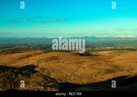 Les hautes terres du sud de Dumyat, les monts Ochil, Stirlingshire Banque D'Images