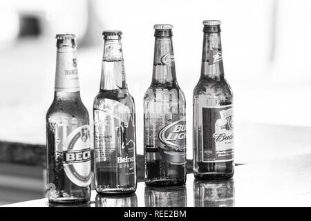 Great Stirrup Cay, Bahamas - janvier 08, 2016 : la bière en bouteilles de verre sur comptoir bar. Mauvaises habitudes d'alcool. Rafraîchissements, boissons, boissons. Beer party celebration Banque D'Images