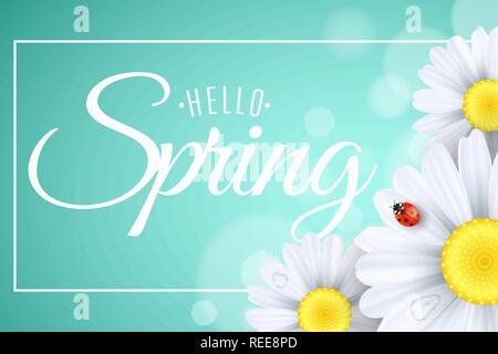 Bonjour printemps carte-cadeau. Bannière de saison. Ladybug rampent sur les fleurs. Marguerites réaliste. La calligraphie et le lettrage dans l'image. Couvercle moderne pour votre d Illustration de Vecteur