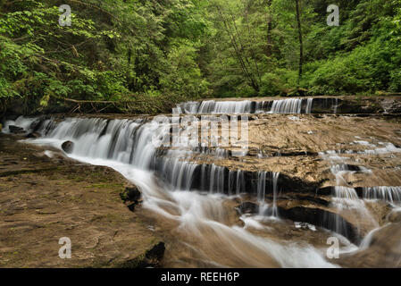 Sweet Creek cascades, forêt nationale de Siuslaw, Oregon. Banque D'Images