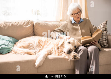 Portrait de l'adorable golden retriever dog sitting on couch with senior woman in sunlit salon, copy space Banque D'Images