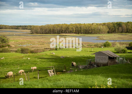 La ferme du printemps et le foin champ avec ciel bleu et nuages dans le Maine, USA. Banque D'Images