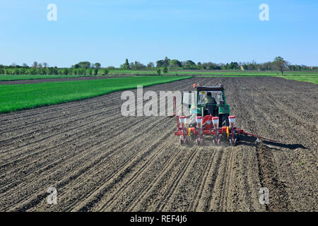 Les semis de printemps. Avec un tracteur agriculteur sème du maïs sur son domaine. Banque D'Images