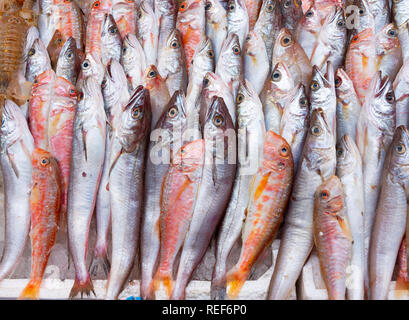 Les poissons exposés à Medterranean seamarket ouvert, Naples Banque D'Images