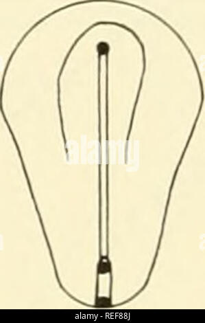 . L'embryologie comparative des vertébrés ; avec 2057 dessins et photos. regroupés en 380 illus. Vertébrés -- l'Embryologie embryologie Comparative ;. rz". Veuillez noter que ces images sont extraites de la page numérisée des images qui peuvent avoir été retouchées numériquement pour plus de lisibilité - coloration et l'aspect de ces illustrations ne peut pas parfaitement ressembler à l'œuvre originale.. Nelsen, Olin E. Everett (Olin), b. 1898. Blakiston, New York Banque D'Images