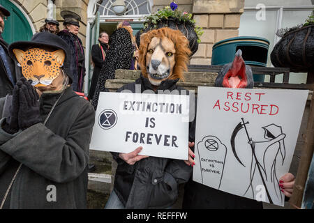 Glastonbury, Royaume-Uni. 12Th jan 2019. Rébellion Extinction Marche funèbre par centre-ville. Crédit : Guy Josse/Alamy Live News Banque D'Images