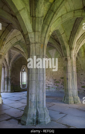 Abbaye Valle Crucis à l'intérieur du chapitre maison fondée en 1201 comme un monastère cistercien dans la vallée de Llangollen North Wales Banque D'Images