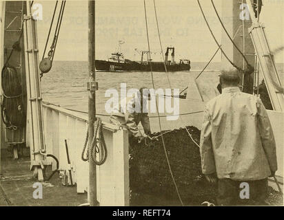 . Examen de la pêche commerciale. La pêche, le commerce du poisson. 23. Fig. 3 - Les pêcheurs à bord du BCF 'Miller' Freeman opérant en mer de Béring préparer d'inspecter leurs captures expérimentales faites glisser comme un navire de pêche japonais traverse leur poupe. (Fcc-Alaska Photo : J. M, Olson.) du Pacifique Nord-Ouest URSS : 21 grand congélateur stern et chalutiers, 1 côté fluide chalutier, 6 navires de soutien, et 3 navires de recherche. Environ 10 chalutiers stern 40 miles à l'ouest de l'île de destruction et de 16 à 60 milles au large du cap Flattery au début de mois (10-15 cru au large de l'Oregon). En 2ème semaine, 18 navires entre Yaquina Head et Cape Blanco Banque D'Images