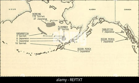 . Examen de la pêche commerciale. La pêche, le commerce du poisson. 13 : soviétique 34 chalutiers de taille moyenne, 5 fac- tory les chalutiers de pêche arrière, 1 base d'usine, 2 navires transporteurs frigorifiques. Japonais : 15 chalutiers congélateurs Stern. Polish : 14 gros chalutiers latéraux, 7 congélateur, 1 chalutiers à pêche arrière base usine navire. 3 : est-allemand Stern et côté 4 chalutiers. Espagne : 2 chalutiers. Au large de la Californie, pas de bateaux de pêche étrangers à long terme. Le 26 janvier, un scientifique du FCC sont montés à bord du navire de recherche soviétique 'ogon' dans le Port de Los Angeles, Ogon participe à une enquête conjointe États-Unis-URSS de larves de merlu du Pacifique au large de la Basse Californie. N PACIFIQUE OFF Banque D'Images