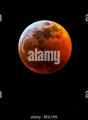 Salida, USA. 20 Jan, 2019. Éclipse de lune rouge sang, loup plein de supermoon plus rocheuses ; Salida, Colorado, USA Crédit : H. Mark Weidman Photography/Alamy Live News Banque D'Images