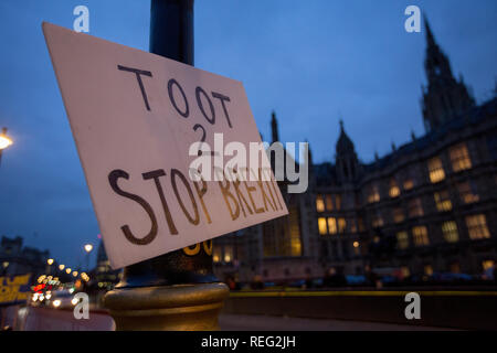 Londres, Royaume-Uni. 21e Janvier 2019. Des pancartes s'opposant à l'extérieur du Parlement brexit crédit : George Cracknell Wright/Alamy Live News Banque D'Images