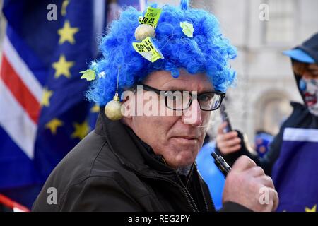 Londres, Royaume-Uni. 21 janvier 2019. Brexit Remainers.protestation anti ont poursuivi leurs protestations sur la journée que Theresa a révélé son plan Brexit Mai B.Chambres du Parlement de Westminster de Londres,,.UK Crédit : michael melia/Alamy Live News Banque D'Images