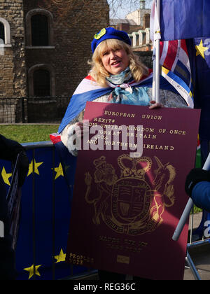 Londres, Royaume-Uni. 21 janvier, 2019. Remainer de manifestations devant les Chambres du Parlement aujourd'hui. Crédit : Joe Keurig / Alamy Live News Banque D'Images