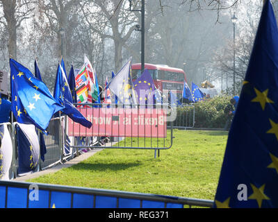 Londres, Royaume-Uni. 21 janvier, 2019. Drapeaux de l'Union européenne à l'appui de l'UE restant à l'intérieur autour des maisons du Parlement aujourd'hui. Crédit : Joe Keurig / Alamy Live News Banque D'Images