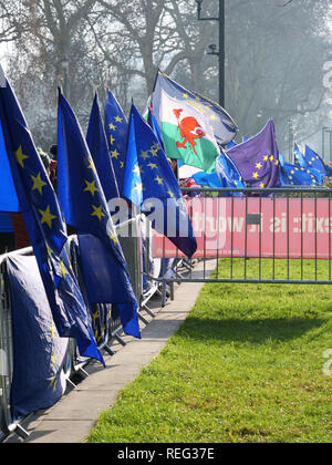 Londres, Royaume-Uni. 21 janvier, 2019. Drapeaux de l'Union européenne à l'appui de l'UE restant à l'intérieur autour des maisons du Parlement aujourd'hui. Crédit : Joe Keurig / Alamy Live News Banque D'Images