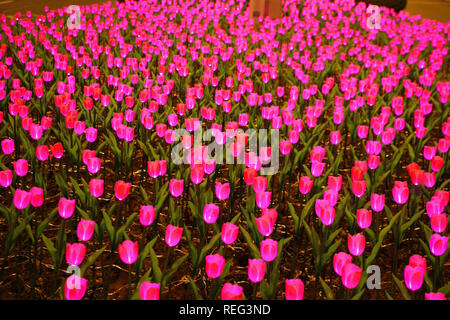 Rongcheng, Chine. 21 Jan, 2019. Des milliers de lampes en forme de tulipe peut être vu dans la Chine orientale Rongcheng La province de Shandong. Crédit : SIPA Asie/ZUMA/Alamy Fil Live News Banque D'Images