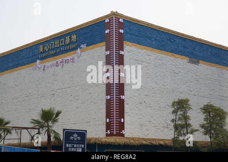 22 janvier 2019 - Chongqin, Chongqin, CHINE - Chongqing, Chine - Un thermomètre géant peut être vu sur le mur d'un bâtiment dans le sud-ouest de l'ChinaÃ¢â€ Chongqing, montrant la température réelle. (Crédit Image : © SIPA l'Asie via Zuma sur le fil) Banque D'Images