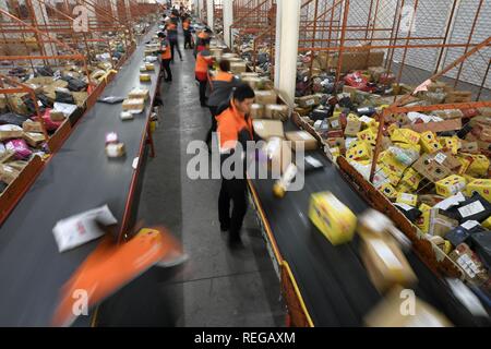 Beijing, Chine, région autonome du Ningxia Hui. 12Th Nov, 2018. Organiser les travailleurs dans une entreprise de livraison Les livraisons à Yinchuan, Chine du nord-ouest de la région autonome du Ningxia Hui, 12 novembre, 2018. Credit : Wang Peng/Xinhua/Alamy Live News Banque D'Images