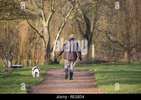 Kidderminster, Royaume-Uni. 22 janvier 2019. Météo au Royaume-Uni : après un démarrage très froid, le soleil du matin est un lieu de séjour très agréable pour les marcheurs de chiens dans le Worcestershire. Un homme isolé d'âge moyen est vu ici, de derrière, en marchant avec son bull terrier sur un plomb passé devant un banc de parc britannique vide. Crédit: Lee Hudson/Alay Live News Banque D'Images