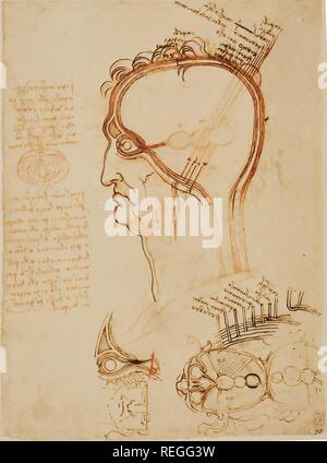 Eonardo da Vinci, sagittale et sections horizontales de la tête humaine avec des couches de la tête par rapport à un oignon. K/P 32r (ca. 1490). Sur cette page Leonardo décrites dans un plan transversal et sagittal la doctrine 'cell' concept. L'empreinte du cerveau est dépeint comme un espace vide avec trois extensions ballon, connecté à l'œil par dura-habillages similaires connexion avec l'élément postérieur de l'œil. En utilisant l'analogie de l'oignon sur les couches commentaires Leonardo du cuir chevelu, des yeux et du cerveau. L'oeil est illustré dans la section sagittale avec la lentille sphérique traditionnelle et le sinus frontal Banque D'Images