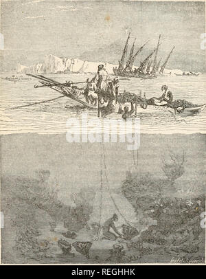 . Les produits commerciaux de la mer ; ou, Marine contributions à l'alimentation, de l'industrie et de l'art de la pêche ; les fruits de mer, produits commerciaux. La pêche à l'éponge de la Méditerranée. 187 FIG. 8. 4-UI .. Les pêcheurs d'éponge syrien.. Veuillez noter que ces images sont extraites de la page numérisée des images qui peuvent avoir été retouchées numériquement pour plus de lisibilité - coloration et l'aspect de ces illustrations ne peut pas parfaitement ressembler à l'œuvre originale.. Simmonds, P. L. (Peter Lund), 1814-1897. Londres, Griffith et Farran Banque D'Images